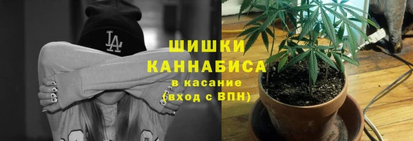 ПСИЛОЦИБИНОВЫЕ ГРИБЫ Инсар