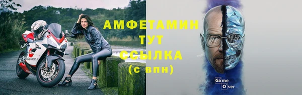 ПСИЛОЦИБИНОВЫЕ ГРИБЫ Инсар