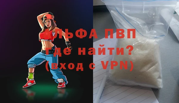 ПСИЛОЦИБИНОВЫЕ ГРИБЫ Инсар