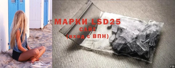 ПСИЛОЦИБИНОВЫЕ ГРИБЫ Инсар