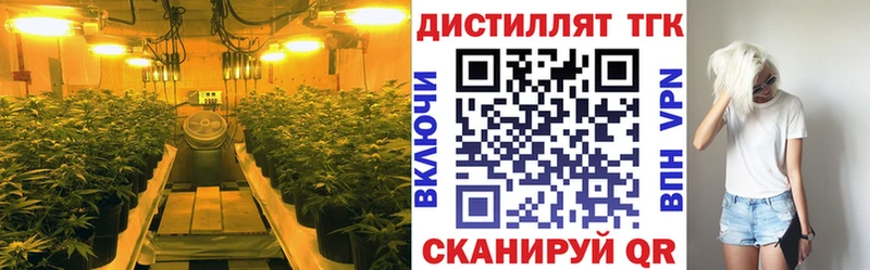 Дистиллят ТГК Wax  Купить где  Гаджиево 